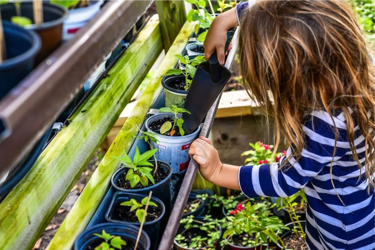 NC Botanical Garden Camps