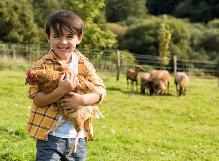 Meet 10 Bountiful Farm Camps in the Triangle